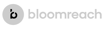 bloomreach-1.png